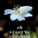 멋진 8시에남자검은달빛님 콕콕콕콕콕 이미지