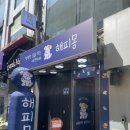 광주 해피몽 - 충장로 애견카페 추천 솔직후기