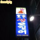 황가산오징어