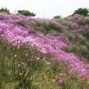 삼하리마을회관 이미지