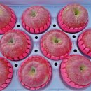 태산농장1 이미지