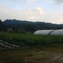 재관농장 이미지