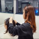 생활 헤어 미용 이미지