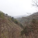 희여울과 꽃나예 이미지