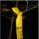 선원민박 이미지
