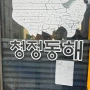동해에서 | 사당역 오마카세 청정동해에서 즐기는 고품격 해산물 오마카세 리얼 후기