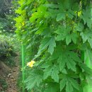 팔용산 체육공원 이미지