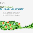 오투그린 이미지