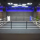 커키버팔로 복싱 클럽 이미지