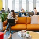 위 컴퍼니(We company) 이미지