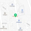 맘모스의류타운 이미지