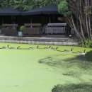 인포텔(주) 네이버블로그