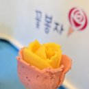 꽃봉자 이미지