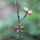 백선농장 이미지