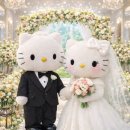 벨리시모 | 강릉 벨리시모 오픈식 후기👰🏻‍♀️🤍