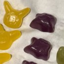 씨유(CU) 구미2번가점 | 편의점 신상 포켓몬 띠부씰이 들어있는 애사비 젤리 &amp; 콤부차 젤리 내돈내산 솔직 후기