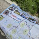 구덕산책로 숲길 | 2026년 신어천산책로 및 꽃무릇숲길 트레킹 후기