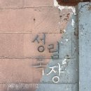 부산 근교 사송 양산 카페 성림목장