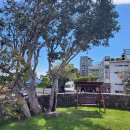 동백낭아래 키즈 독채 펜션 이미지