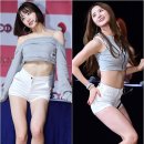 퍼팩트라인 이미지