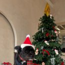 이리온(IRION) 이미지