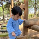 남동문화근린공원 | 인천 어린이집 유치원 아이들과 가기 좋은 남동문화근린공원 유아숲체험원