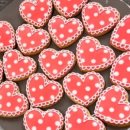 쿠키톡톡 이미지