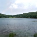 사라의 정원 이미지