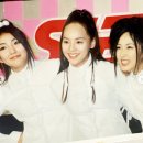 S.E.S. 카카오 검색결과