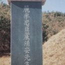 김진양 | 노포 안준 선생