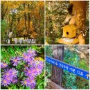 매봉산 | 걷기 일상 - 용왕산, 매봉산, 봉제산