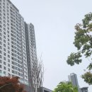 153식자재마트 이미지