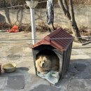 금계농장 | 경남 고성 가족 숙소 수성그린비펜션 사계절 낚시와 갯벌체험 미니 동물농장까지 있는 체험형 펜션 추천