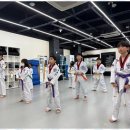 무궁화태권도 이미지