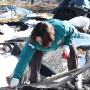 안성시장 이미지