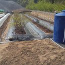 관수농장 이미지