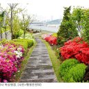 세종청사 안내동 이미지