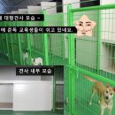 준독트레이닝센터 이미지