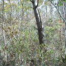 부춘마을 이미지