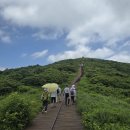 산야