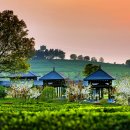 성봉농장 이미지