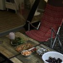 초록숲 하우스 이미지