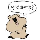 힐링다해소 이미지