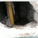 덕양구 보건소 화장실 이미지