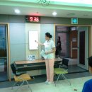 매봉초등학교 이미지