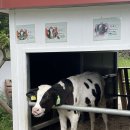 도현목장 이미지