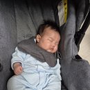 로다 | 50일 아기 사진 촬영 후기[셀프, 스튜디오, 로다 테이블]