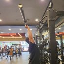 핏불 휘트니스 이미지