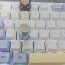우리분동 | 메생의 질이 윤택해지는 꿀템 추천 (동꼽용 분동)