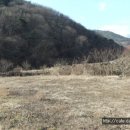 경남부동산공인중개사사무소 이미지